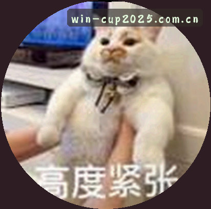 赵磊